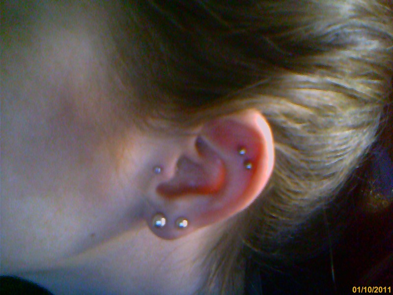 Outer Conch, Tragus, and Double Lobs