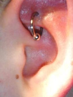 Close Up Of Captive Bed Ring - Ear Piercing