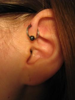 Beautiful Captive Bed Ring - Ear Piercing
