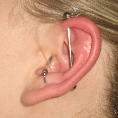 Anti Tragus Piercing And Industrial Piercing
