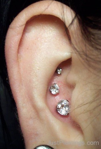 Closeup Tripple Conch Crystal Studs Ear Piercing