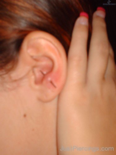 Anti Tragus Piercing With Needle