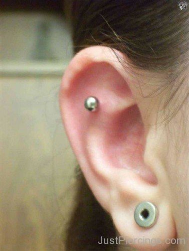 Outer Conch Piercing With Lobe