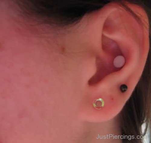 Perfect Conch Piercing