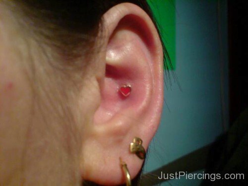 Red Heart Conch Piercing
