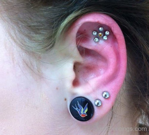 Tripple Lobes And Outer Conch Piercings