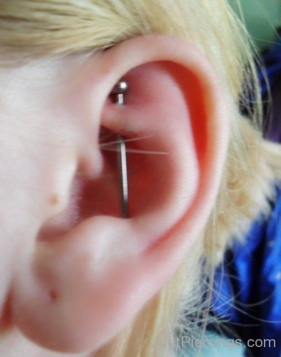 Women Rook To Conch Piercing