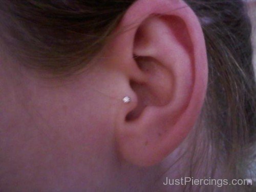 Tragus Piercing Picture