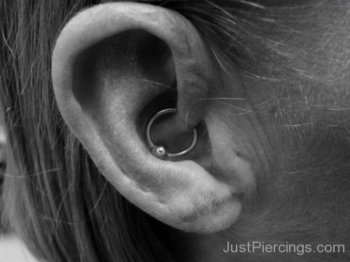 Daith Piercing with Ball Closure Ring For Ear