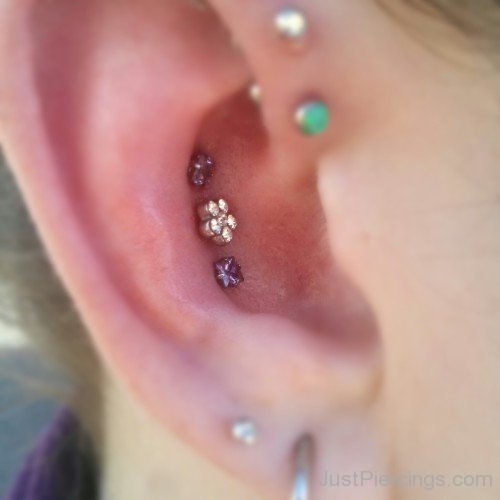 Lobe Conch and Helix