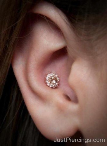Image of Conch Piercing