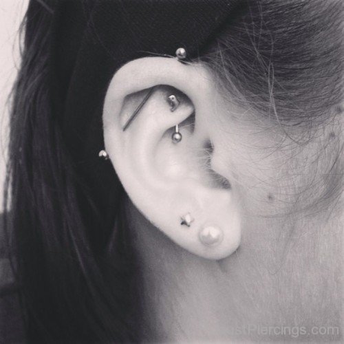 Industrial And Rook Piercing Image