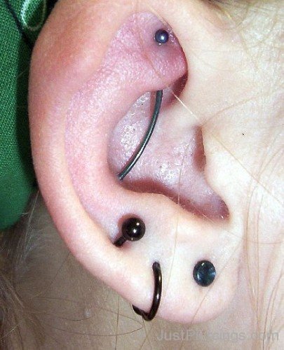 Lobe And Rook Piercing Picture