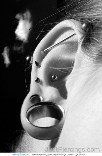Lobe Conch And Industrial Piercing