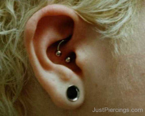 Lobe and Daith Piercing Picture