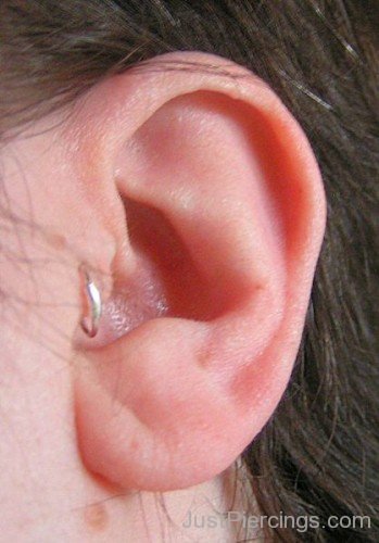 Tragus Percing On Left Ear