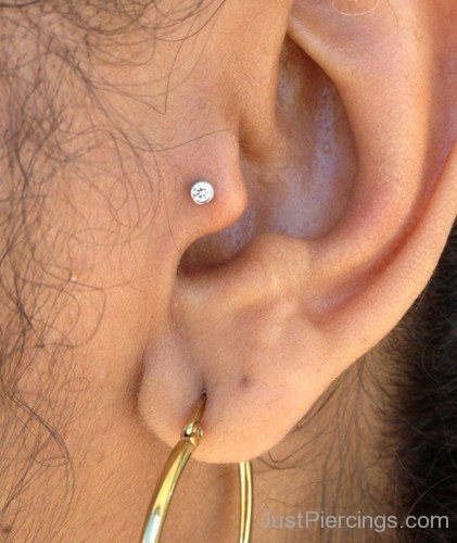 Tragus Stone and Golden Lobe Ring