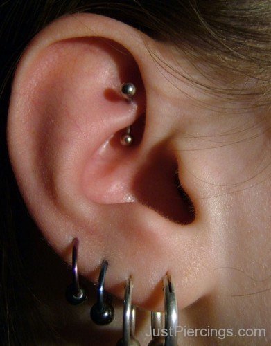 Lobe And Rook Piercing Image