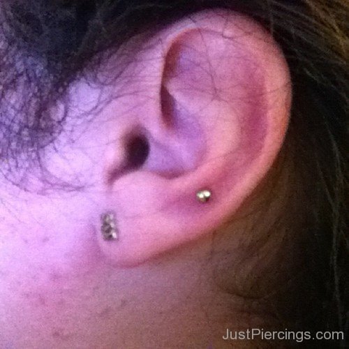Lobe And Snug Piercing Picture