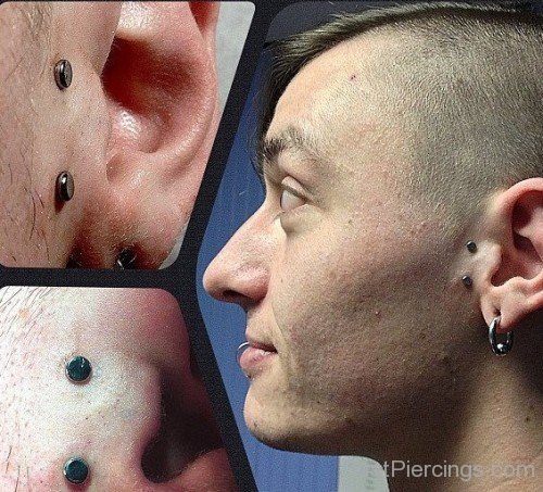 Lobe And Tragus Piercing Image
