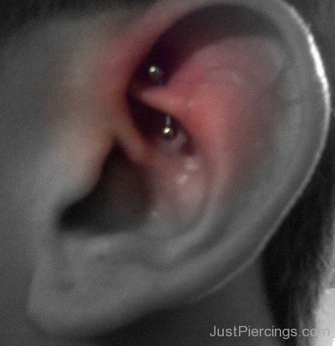 Rook Piercing Picture
