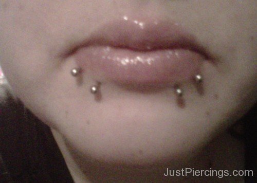 Snake Bite Piercing Picture