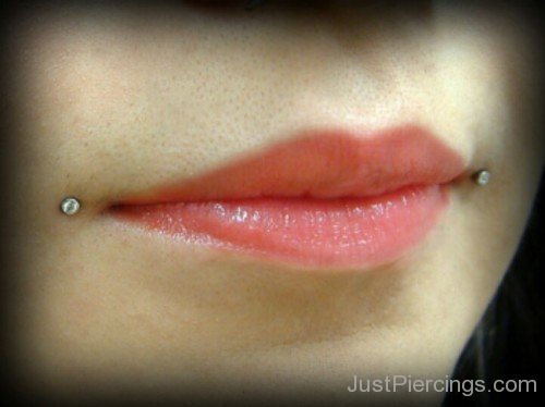 Close Up Of Dahlia Piercing