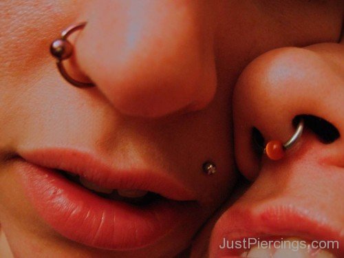 Septum And Nostril Piercings