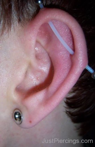 Awesome Lobe And Scaffold Piercings