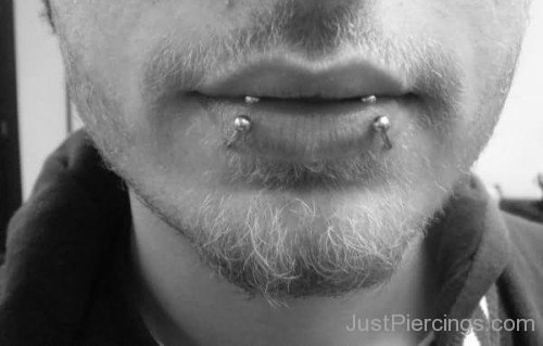 Circular Barbell Dolphin Bites Piercing For Guys