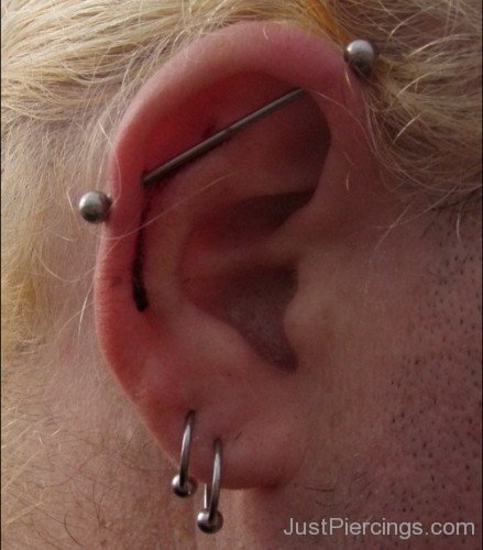 Fresh Scaffold Ear Piercing
