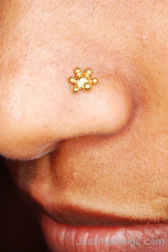 Nose Piercing With Gold Stud