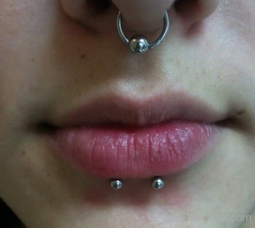 Septum And Dolphin Bite Piercing