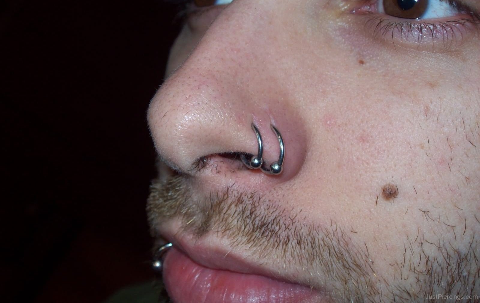 Silver Hoop Rings Double Nose Piercing.