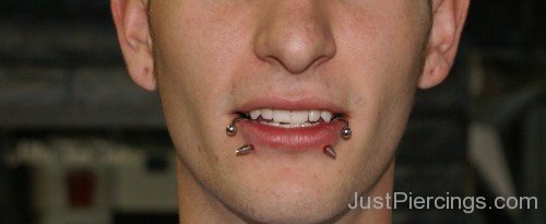 Snake Bites Lower Lip Piercing
