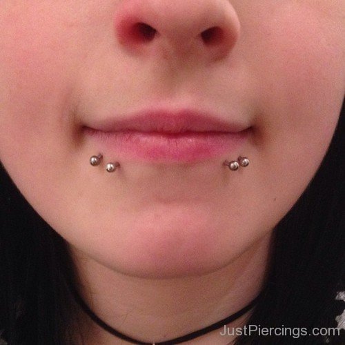 Snake Bites Piercing With Double Studs