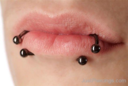 Amazing Lip  Snake Bites Piercing