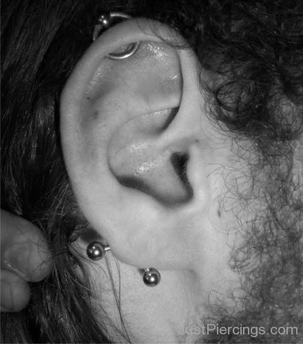 Cartilage And Curved Barbell Transverse Lobe Piercing