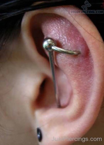 Cartilage Orbital Piercing And Gauge Lobe