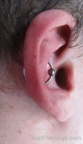 Fresh 14g Orbital Piercing On Conch With Captive Bead Ring