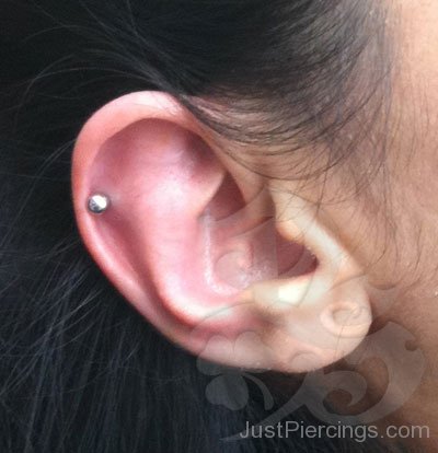 Helix Piercing Pic