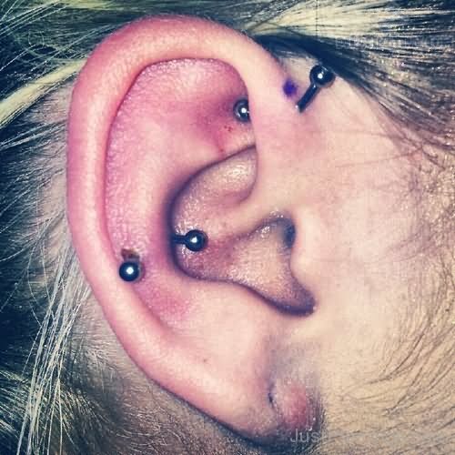 Pinna Piercing With Curved Barbells