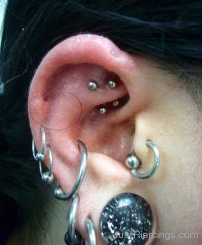Rook Tragus Conch And Lobe Piercing
