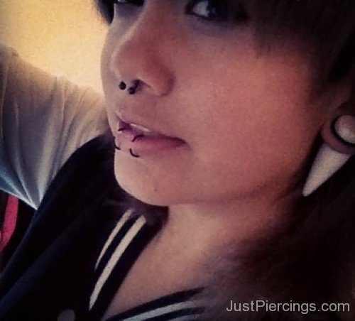 Septum And Dolphin Bites Piercing With Black Rings