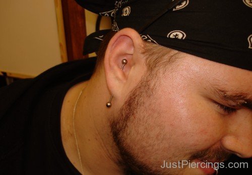 Transverse Lobe Piercing With Large Barbell