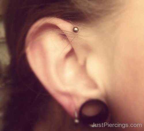 Anti Helix Piercing And Ear Stretching-JP123