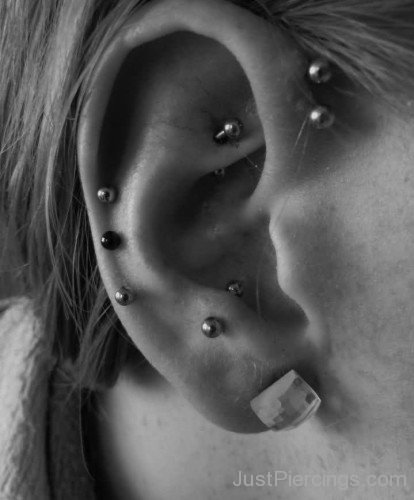 Pinna And Conch Piercings-JP123