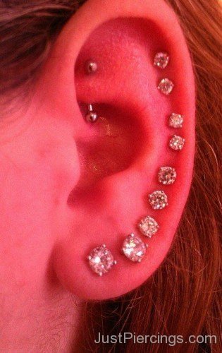 Rook Helix And Lobe Piercing Picture-JP123