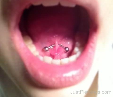Curved Barbell Tongue Frenulum Piercing Picture-JP12301