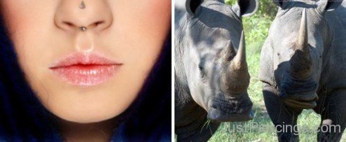 Girl With Rhino Piercing-JP12303